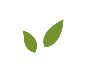 leaf-bullet